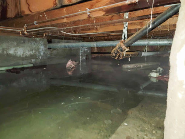 Water damage restoration experts in Noblesville, IN