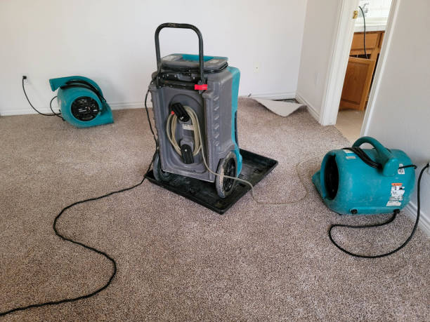  Noblesville, IN Water damage restoration Pros