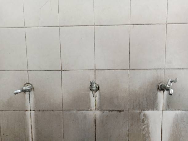 Carpet water damage restoration in Noblesville, IN