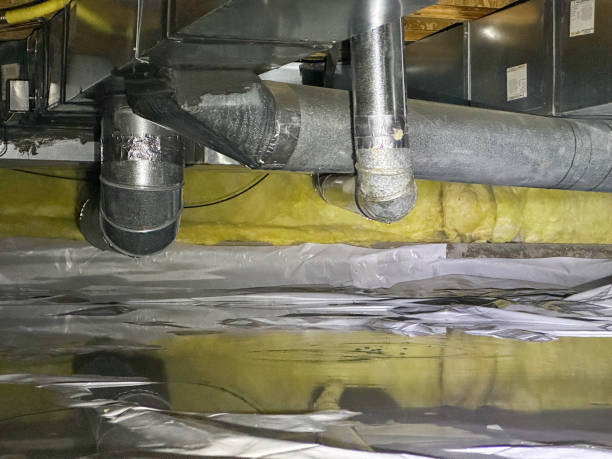 Best Carpet water damage restoration  in Noblesville, IN
