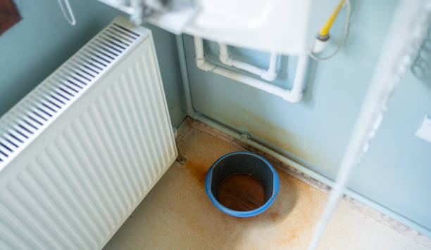 Best Flood damage cleanup  in Noblesville, IN