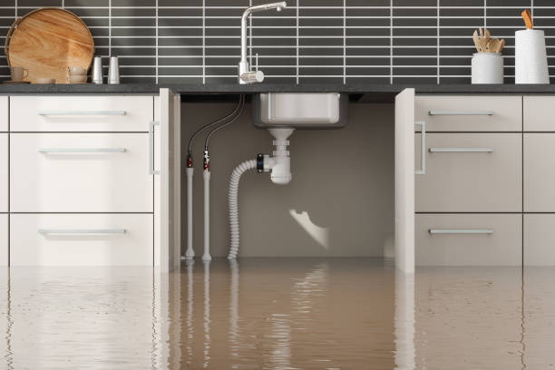 Best Residential water damage restoration  in Noblesville, IN