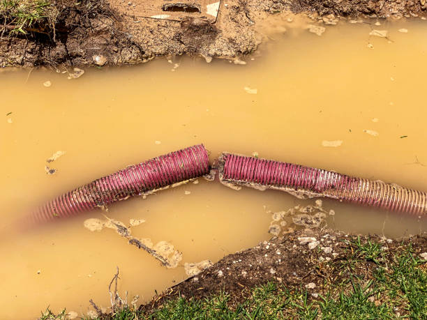 Best Carpet water damage restoration  in Noblesville, IN